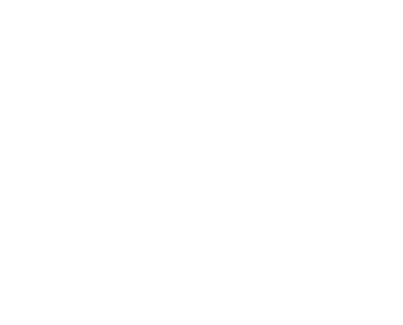 Logo AEDE Andreea Minela Rusu